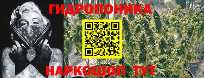 ешки Славгород